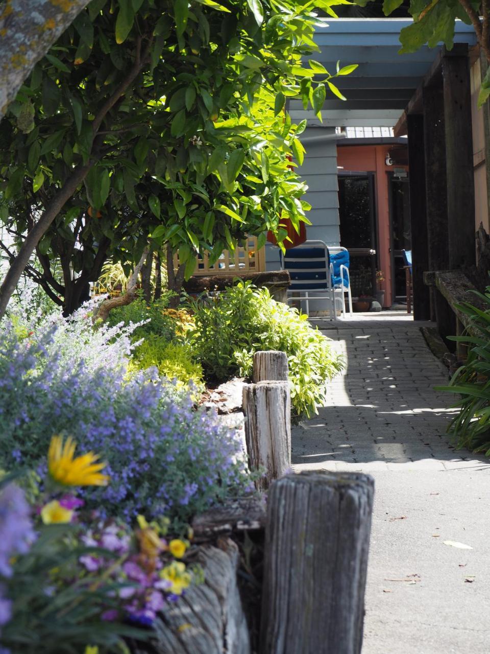 Hostel Tasman Bay Backpackers Nelson Exteriér fotografie